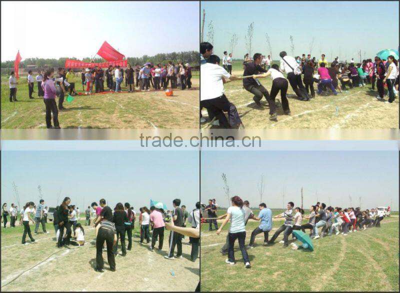 Sodium Tripolyphosphate/ STPP / CAS No.:7758-29-4