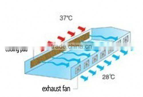 Greenhouse/Industrial/Poultry JFD-900E Exhaust fan with CE certification