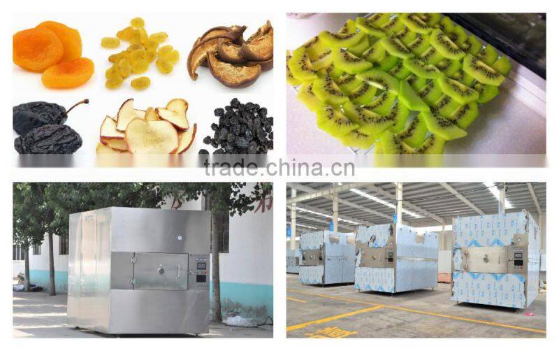 vacuum fruit dryer