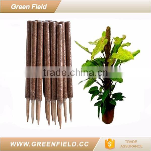 Green Field coconut coir poles for climbing plants