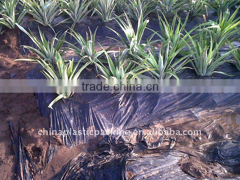 PE Agricultural Mulching Film with holes