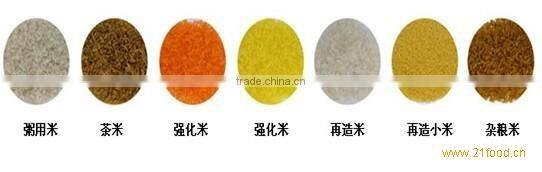 New Stainless Steel Artificial Instant Rice Food Machine/Nutritional Rice Food Processing Line