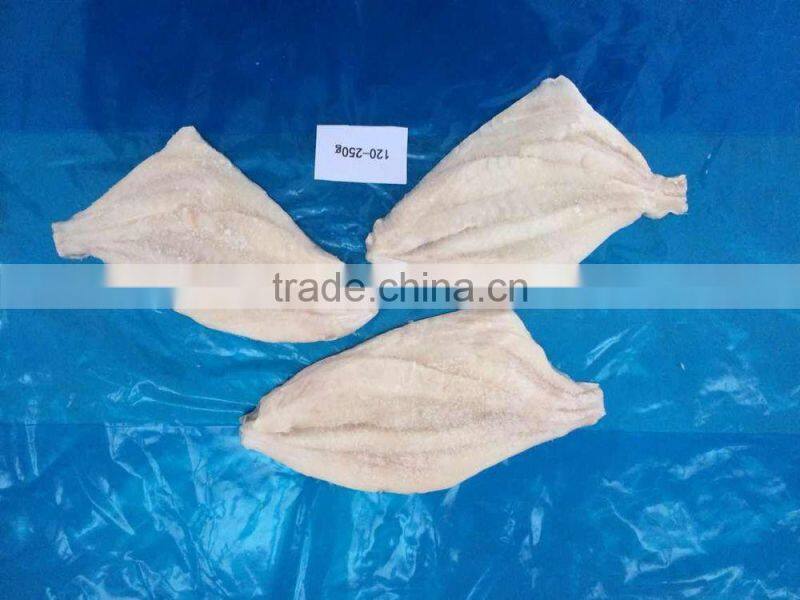Frozen John Dory fillets 60-100g/100-150g/pc factory direct selling from Zhejiang of China