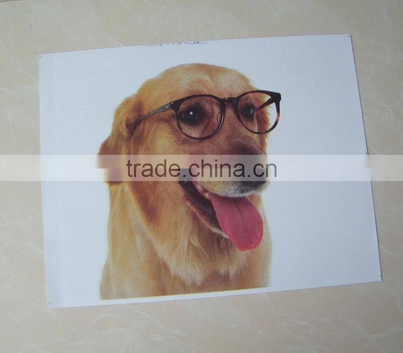 t shirt transfer paper