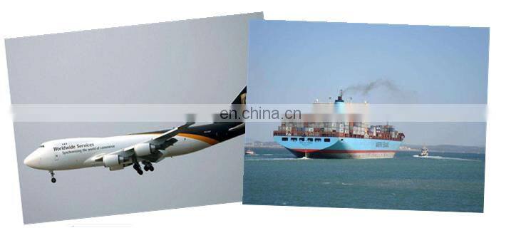 Butterfly decorative tattoo sticker