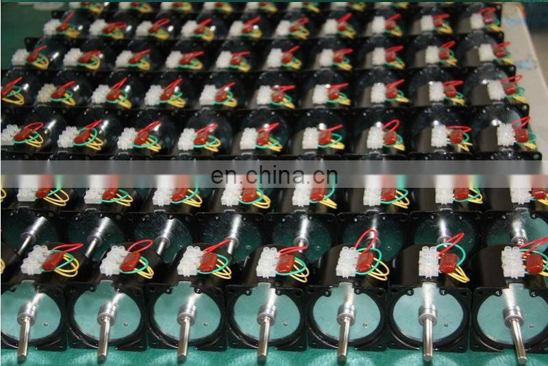 60mm diameter Reversible all metal gear 220v/14w/30rpm AC synchronous motor gearbox motor