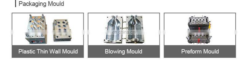 China Manufacturer Precision Used Mold Of Water Purify Tank