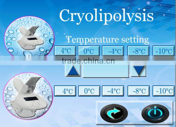 2015 Fat dissolving slimming beauty machine with two heads