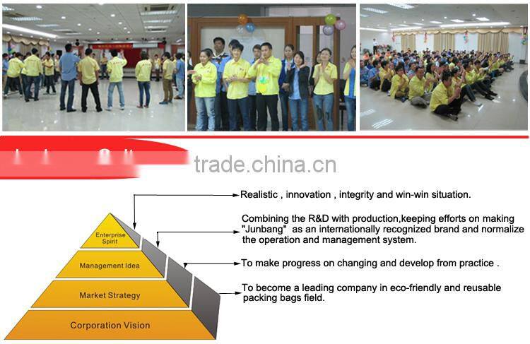 Die Cut Plastic Bag,LDPE Shopping Plastic Bags Cheap Bio-Degradable Plastic Shopping Bag