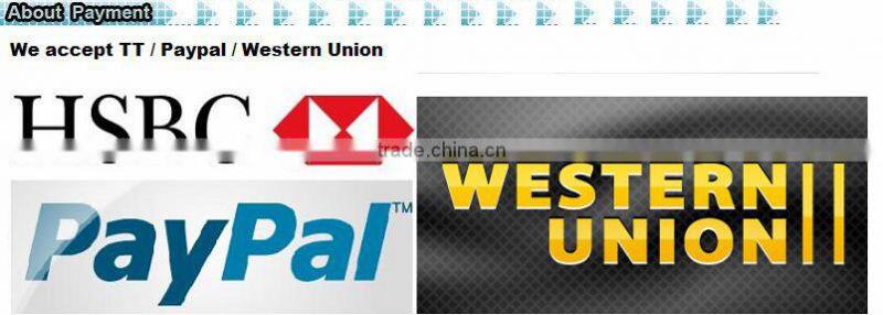 Wholesale high quality guitar capo tuners/guitar picks/parts