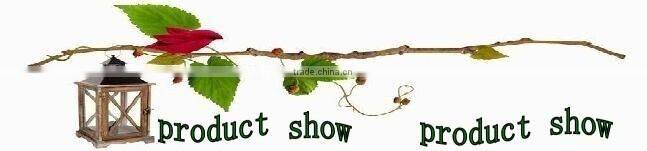 luxury style Abs single function Hight pressure Saving water shower head