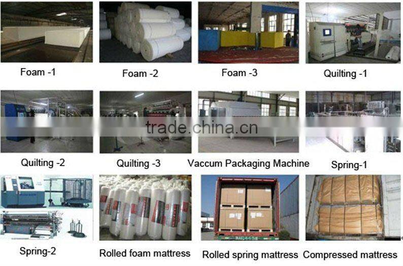 egg shape foam, wave foam ,sound-absorbing foam ,insulation sponge