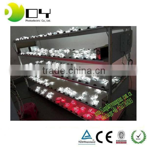 Factory Wholesale DC12V Super Bright Waterproof 5050 Injection led module