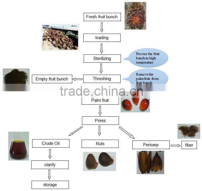 100-3000TPD low investment high profit crude palm oil indonesia,crude palm oil processing from Huatai Factory