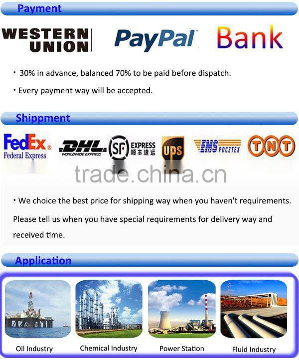 China P Series Mass Flow Meter