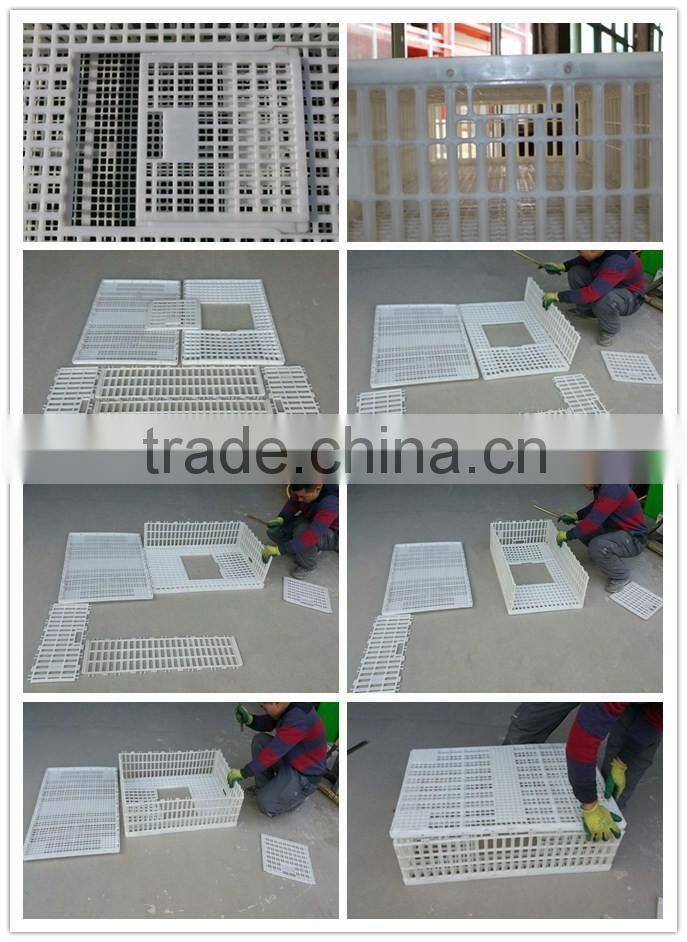 new polyethylene china white industrial chicken coop