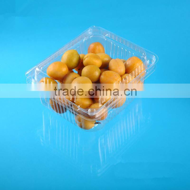 Factory price Disposable Plastic fruit packaging box with lid