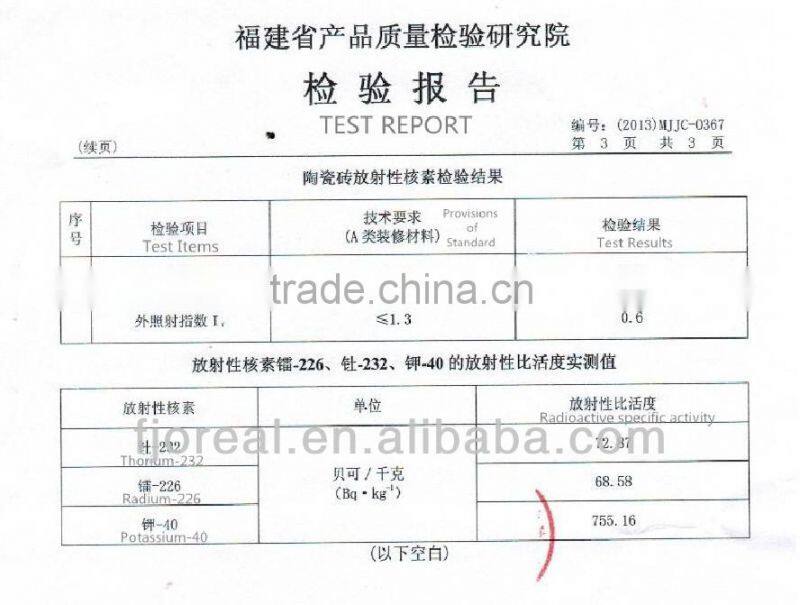 Digital Wall Tile 300x600mm for Exterior