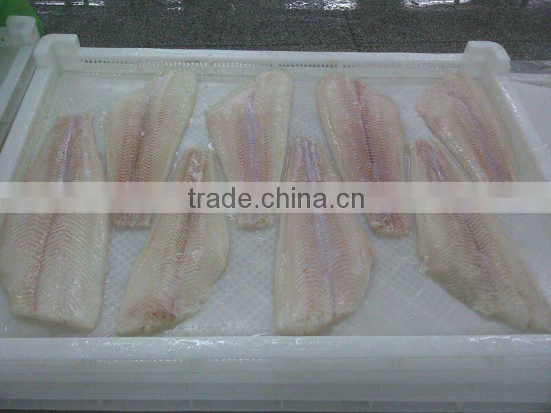 frozen pacific halibut fillet