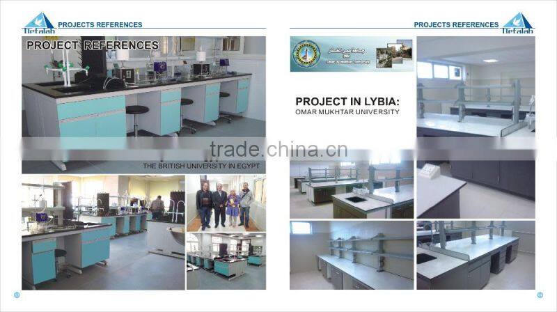 2015 HOT Sale Chemical Laboratory Safety Storage Cabinet