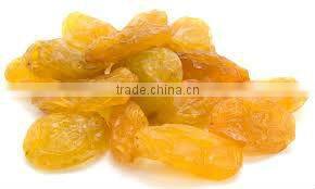 jumbo Yellow Raisin