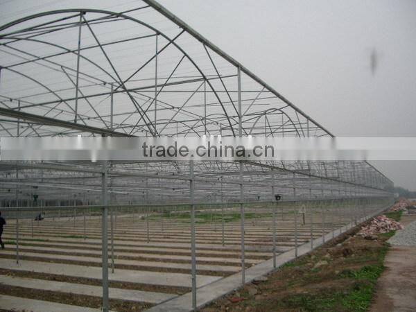 Galvanized steel frame greenhouse for Agriculture