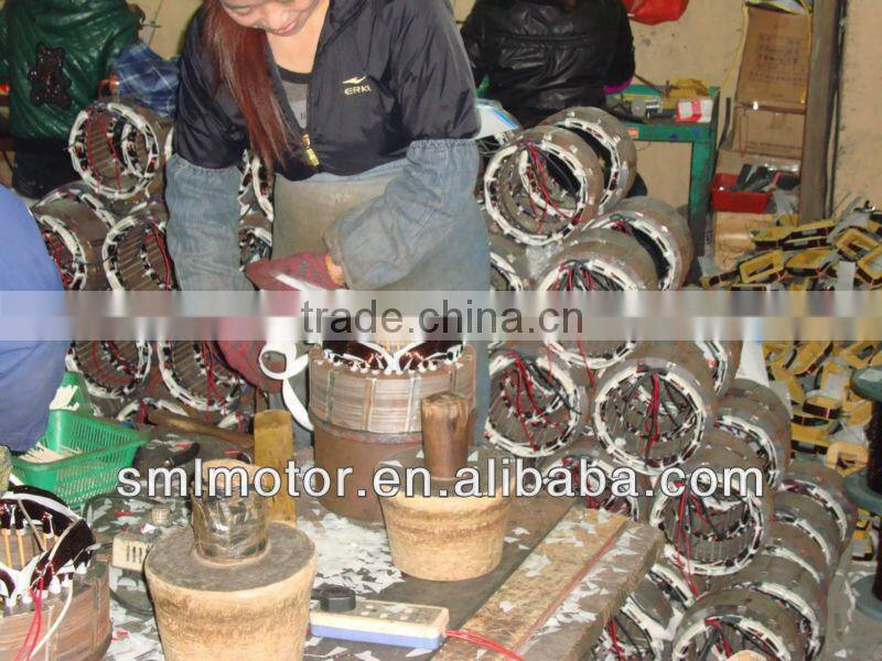 single phase generator 220v 1kw