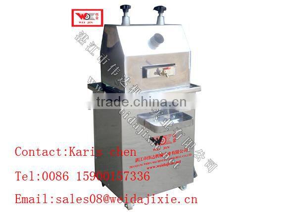 ginger juice extractor machine