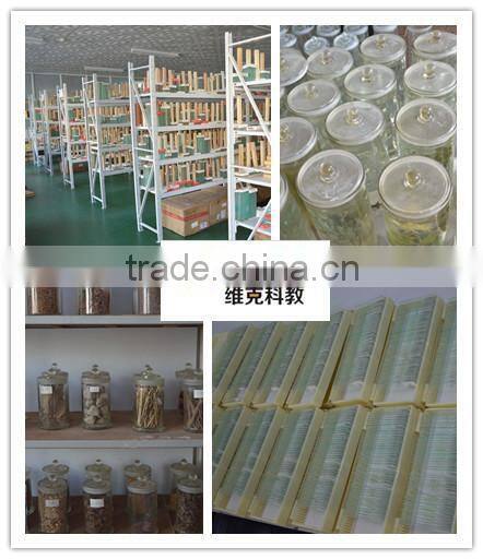 Differnt kinds of prepared microscope slides pine wood box