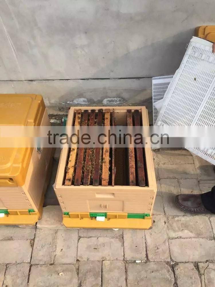sun protection waterproof apiary