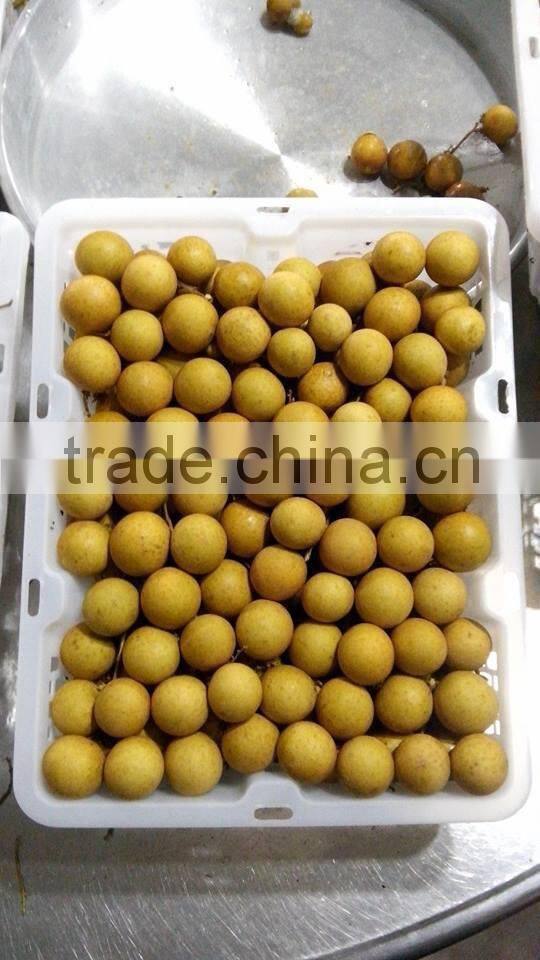 Longan fruit- high quality competitive price from Vietnam