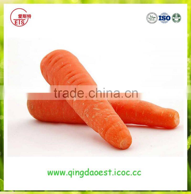 new crop high quality fresh broccoli for sale