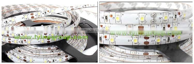AC/DC 12 led neon flexible bendable led strip 5050