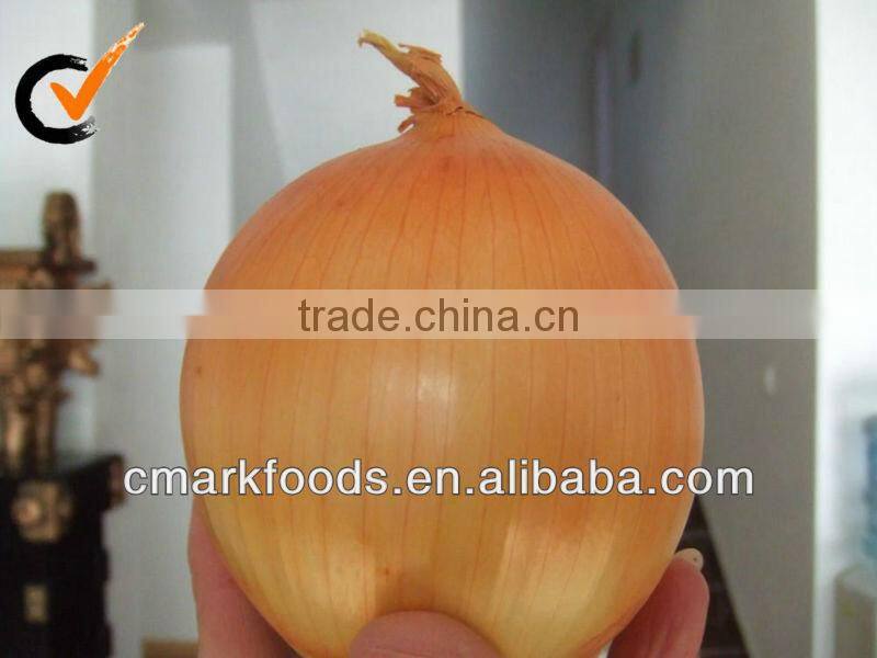 AD Yellow Onion Granules, New Crops