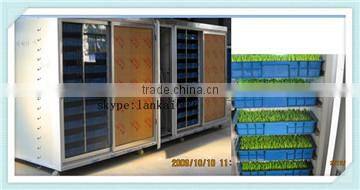 factory price Wheat or Oat Sprout Machine/Wheat or Oat Sprout equipment/bean sprout machine