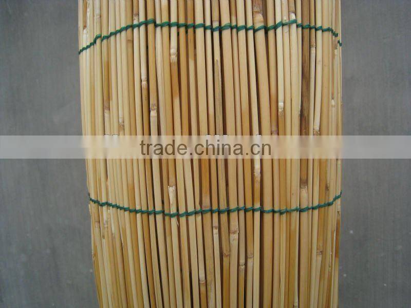 reed fence