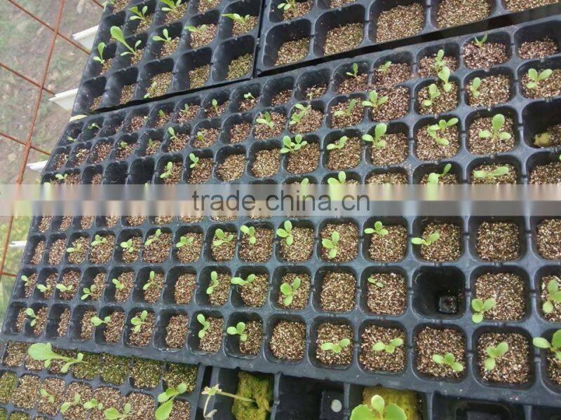 Vermiculite for gardening