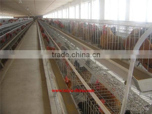 Parents Chicken Cage