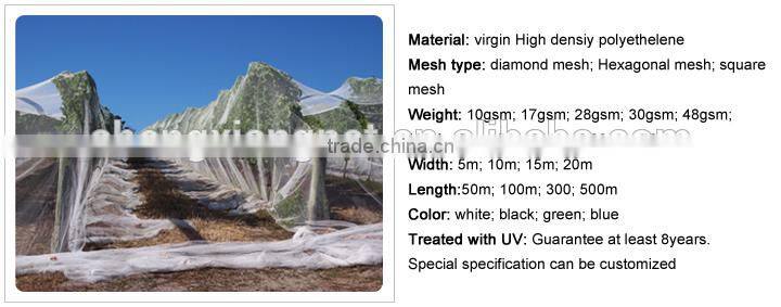 Commercial Bird & Bug Netting