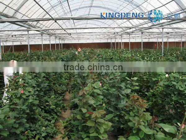 Multi Span Film Arch Greenhouse for Vegetable