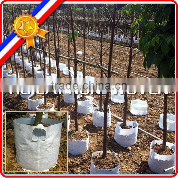 Superior non woven tree planting bag