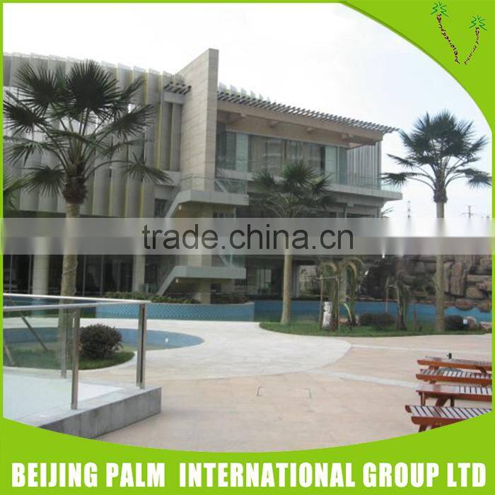 High Quality Artificial Outdoor Decorative Palm Trees