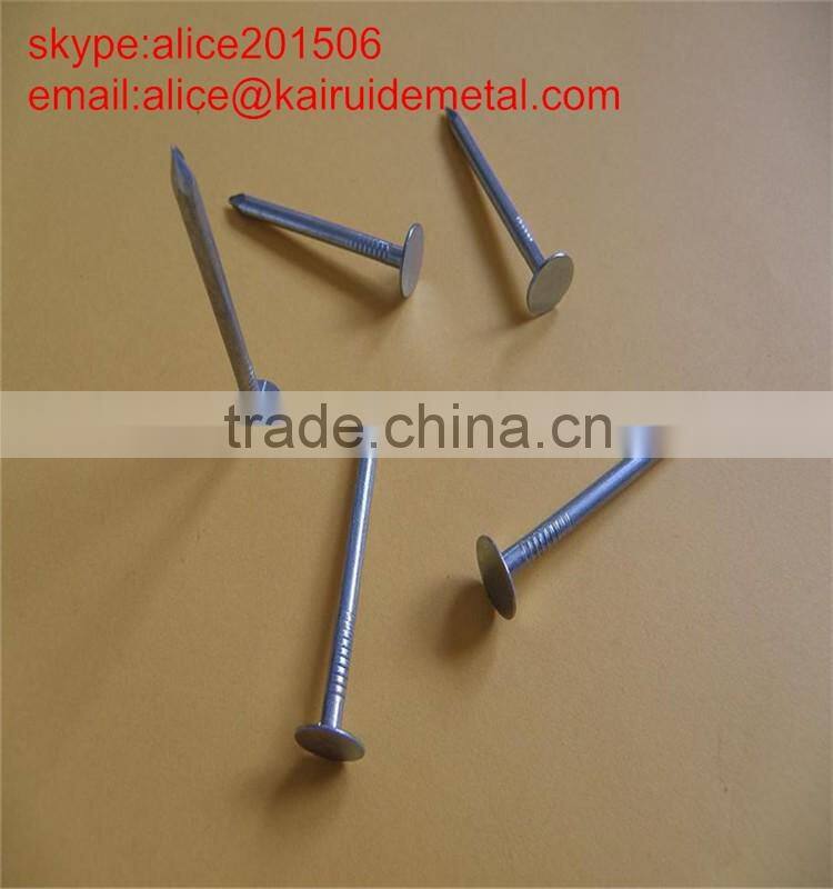 high quality factory produce stainless common iron round head nail/common iron nail
