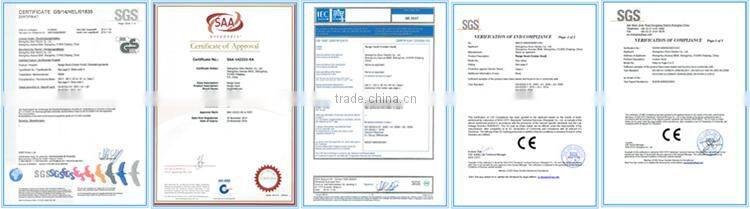 New European Style Whole Black Automatic Open Kitchen Vent hood