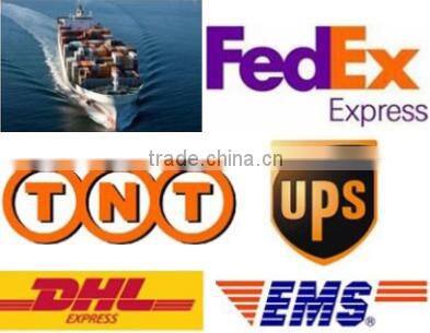 Professional equipment 10W LED Small Magic Light led flower light