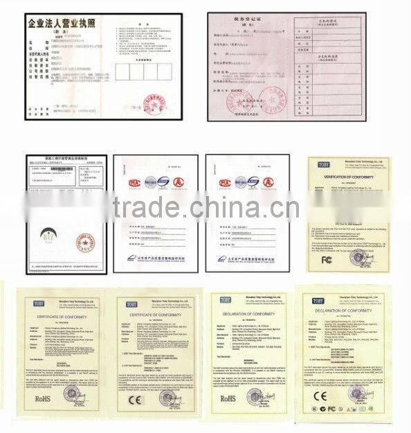 Perfect growth induction lamp 40w-300w