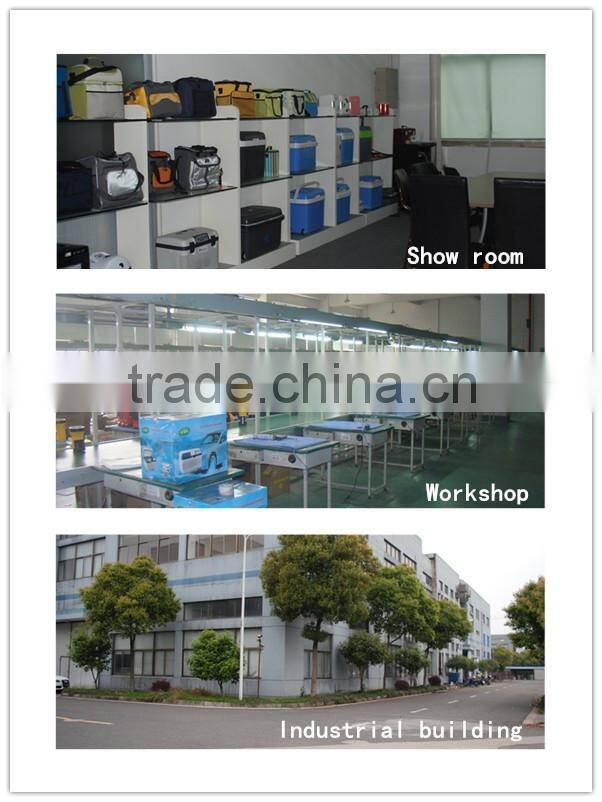 Travel Electric 24L Mini Car Cooler Bag With External Cooling System