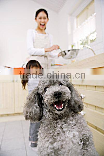 Hot selling promotional best travel pet bowls and mat