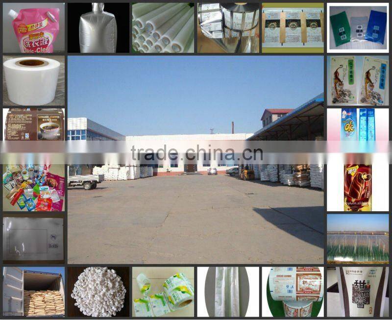 hot sale die cut handle plastic packaging bag for washing powder