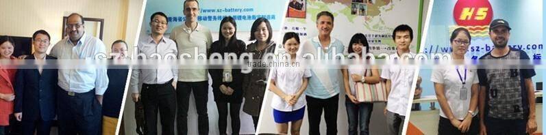 Portable Lithium Battery 48V 25AH Electric Bicycle 48V Lithium Battery with Samsung Cell